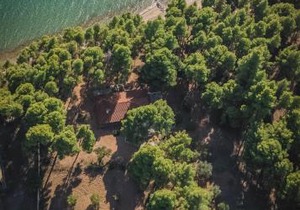 Squirrel Beach Front Villa, Metamorfosi