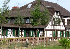 Standard Room Double Bed Nr. 3 - Goldner Engel, Restaurant - Hotel - Butcher
