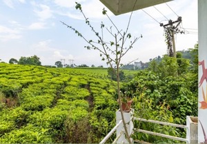 Starlit holidays homes Chithirapuram near Munnar