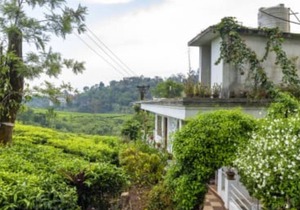 Starlit holidays homes Chithirapuram near Munnar