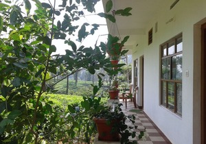 Starlit holidays homes Chithirapuram near Munnar - Room #1