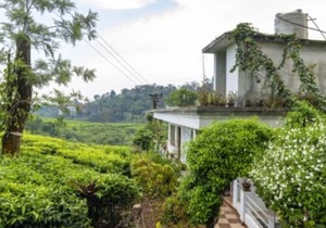 Starlit holidays homes Chithirapuram near Munnar