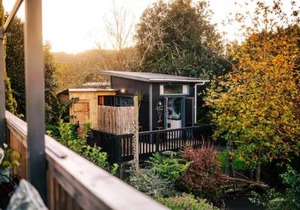 Starry Nights cabin fever