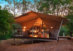 Starry Nights Luxury Camping - OPENING SPECIAL