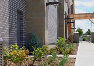 Staybridge Suites Waterloo - St. Jacobs Area, an Ihg Hotel