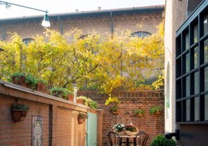 Stella Marina 6