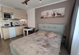 Studio 20qm mit Balkon und Innenpool - 22010