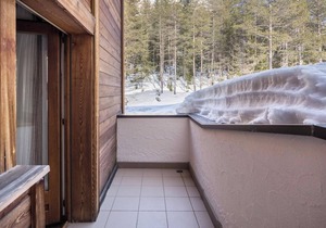 Studio Apartment “Ciasa ai Pini 208” near Ski Lifts with Mountain View Garden & Sauna