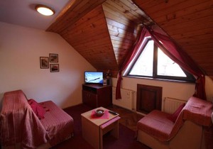 Studio Apartman Aleksandar