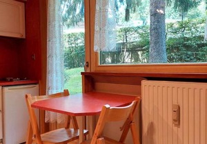 Studio Chamonix rénové, proche centre et télécabine, animaux admis, parking - FR-1-517-3