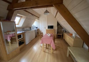 Studio Cosy à La Roche-Posay, à 70m des Thermes, WIFI, Animaux Acceptés, Idéal pour 2 Personnes - FR-1-541-55
