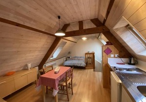 Studio Cosy à La Roche-Posay, à 70m des Thermes, WIFI, Animaux Acceptés, Idéal pour 2 Personnes - FR-1-541-55