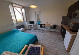 Studio cosy avec Wi-Fi à 50m du centre, proche des Thermes - La Roche-Posay - FR-1-541-56
