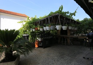 Studio flat (pet friendly) Gradac, Makarska (AS-2784-f)