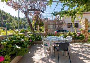 Studio flat with balcony Cove Vela Stiniva, Hvar (AS-14511-c)