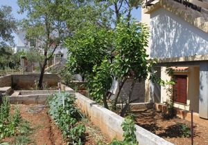 Studio flat with balcony and sea view Sali, Dugi otok (AS-8152-a)