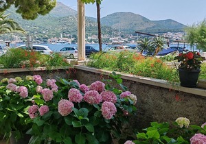 Studio flat with terrace and sea view Zaton Veliki, Dubrovnik (AS-2107-c)