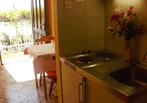 Studio flat with terrace and sea view Cove Saplunara, Mljet (AS-12849-b)