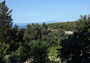 Studio flat with terrace and sea view Suha Punta, Rab (AS-5050-a)