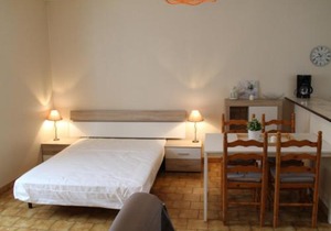 Studio lumineux au centre de La Roche-Posay avec Wi-Fi, proche des Thermes - FR-1-541-59