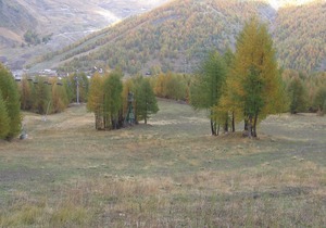 Studio + Mezzanine - La Foux d'Allos
