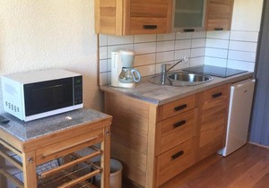 Studio rénové à Chamonix avec balcon, animaux acceptés, parking - FR-1-517-54
