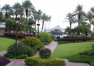 Studio - Westin St. John Coral Vista Villas - Full Resort Access