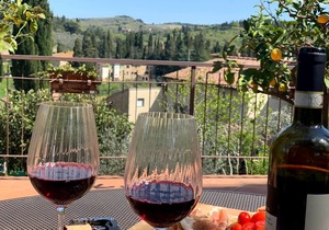 STUDIO WITH BALCONY AND POOL: The Compagnia del Chianti