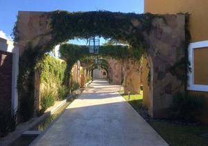 Stunning 2 BR Luxury Residence 2025-2026 NEW YEAR'S AVAILABLE!