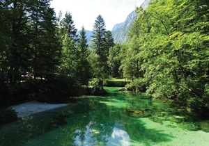 Stunning apartment in Bohinjska Bistrica with 1 Bedrooms and WiFi