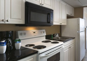 Stunning Oceanfront Efficiency + Official On-Site Rental Privileges