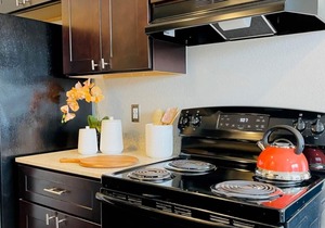 [SU 922-3] Campus-close 2 bedroom luxury