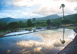 Suan Sook Homestay