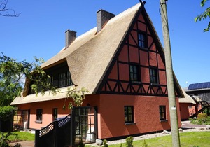 Suite 2 - Bela horse farm