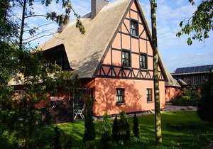 Suite 2 - Bela horse farm