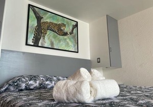 Suite frente al mar en Torres Gemelas Acapulco