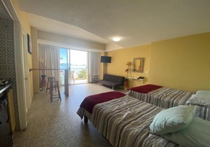 SUITE INCREIBLE CON PLAYA SANITIZEd