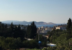 Suite Sutomore