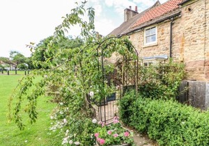 Sunny Cottage