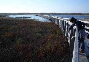 Sunset Cottage #1 near beaches, golfing, trails, shopping and local attractions!