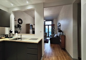 Superbe T2 avec balconnets en centre-ville, 3*, proche thermes et lac ! - FR-1-555-47