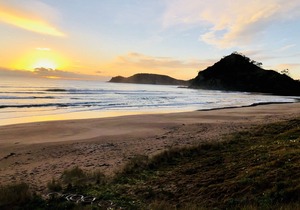 SURFPAD Pataua North place of plentyRelax and enjoy the good vibe
