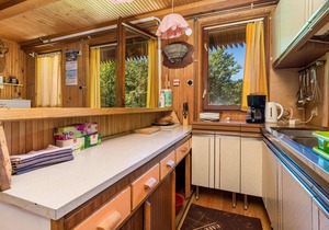 Surrounded by pine trees is this small cottage.