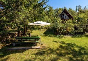 Surrounded by pine trees is this small cottage.