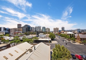 Swainson on Grote in Adelaide