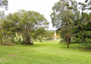 Sweet Love - Byron Bay Hinterland