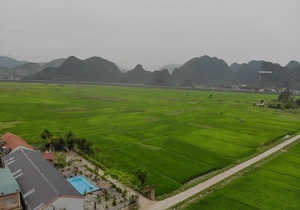 Sy's Homestay
