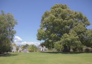 Sylvia Park Motel
