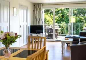 Ta Mill Cottages & Lodges - Meadowview Chalet 4