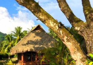 TAHAA - Bungalow Moana Beach 2